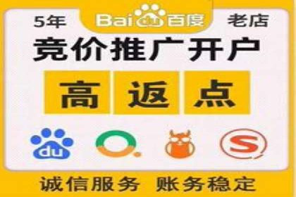 竞价推广代运营成功案例分析